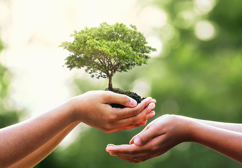 中国尊龙集团承诺